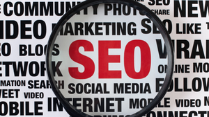 small business SEO expert